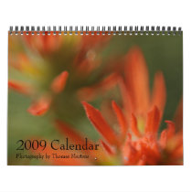 Scenic Utah 2009 Calendar