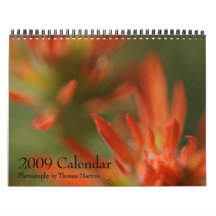 Scenic Utah 2009 Calendar
