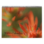 Scenic Utah 2009 Calendar