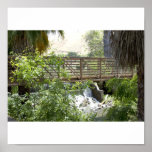 Scenic View Poster