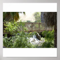 Scenic View Poster