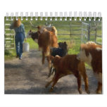 Scenics - Ranch Scenes Paintings Calendar