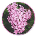 Scent of Lilacs stickers by Kat_Kapers Scent of Lilacs stickers