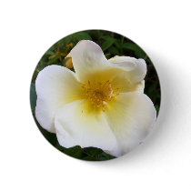Scented Cream Rose Pin
