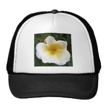 Scented Cream Rose Hats