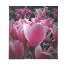 Scents For The Senses Memo Note Pads