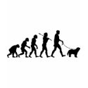 Schapendoes t-shirts