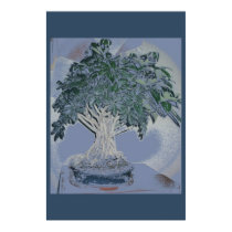 Schefflera Bonsai posters