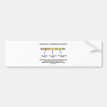 Schema Of A Transcription Factor (Protein) Bumper Stickers