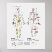 Schematic of the Chinese or Human Body Meridians