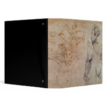 Scheme for the Sistine Chapel Ceiling, c.1508 Binders