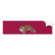 scheriff003 bumper stickers by Lakay_Graphics scheriff003 bumper stickers