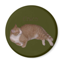 scheriff003 magnet
