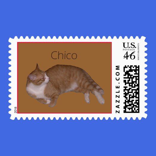 Lakay Custom US Stamps