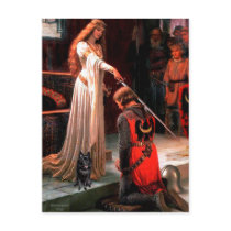 Schipperke 4 - The Accolade postcards