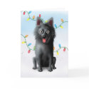 Schipperke Christmas card