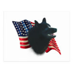 Schipperke Flag Post Card