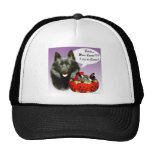 Schipperke Halloween Candy Hats
