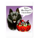 Schipperke Halloween Candy Post Cards