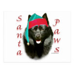 Schipperke Santa Paws Post Cards