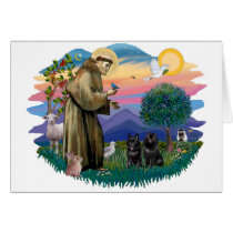 Schipperke (two) cards