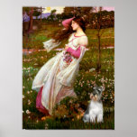 Schnauzer 11N - Windflowers Print