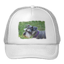 Schnauzer  Baseball Hat