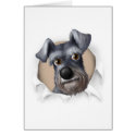 Schnauzer Busting Out card