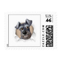 Schnauzer Busting Out - Customized stamp