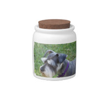 Schnauzer Candy Jar