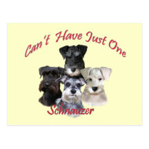 Schnauzer Can't Have Just One Postcard