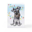 Schnauzer Christmas cards by cartoondogs Schnauzer Christmas cards