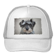 Schnauzer Dog Baseball Cap Hat