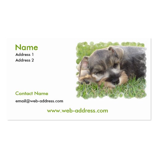 Schnauzer Dog Business Card (front side)