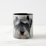 Schnauzer Dog Coffee Cup Coffee Mug