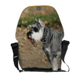 Schnauzer dog courier bag