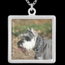 Schnauzer dog necklaces