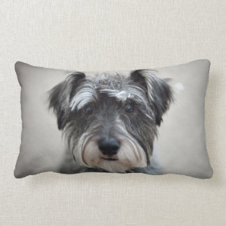 miniature schnauzer pillow