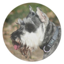 Schnauzer dog plates