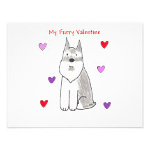 Schnauzer Furry Valentine Announcements