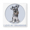 Schnauzer Granddog magnet