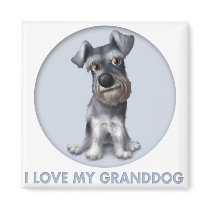 Schnauzer Granddog magnets