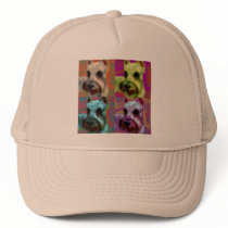 schnauzer hat