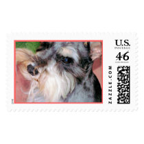 Schnauzer in Deep Thought postage
