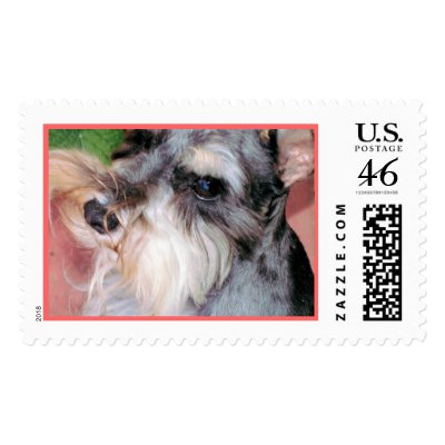 Schnauzer in Deep Thought Postage Stamp