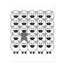 Schnauzer in the Sheep Postcards