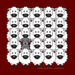 Schnauzer in the Sheep t-shirts