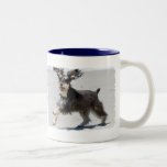 Schnauzer - Jr is a Happy Boy! Coffee Mug
