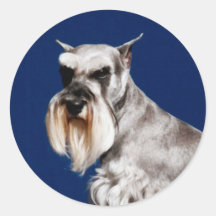 Schnauzer miniatura pegatina