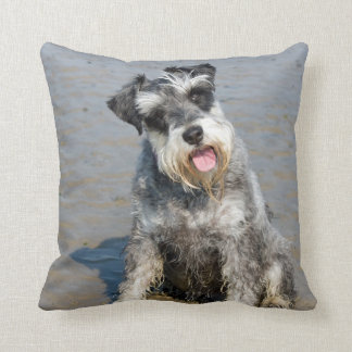 miniature schnauzer cushion